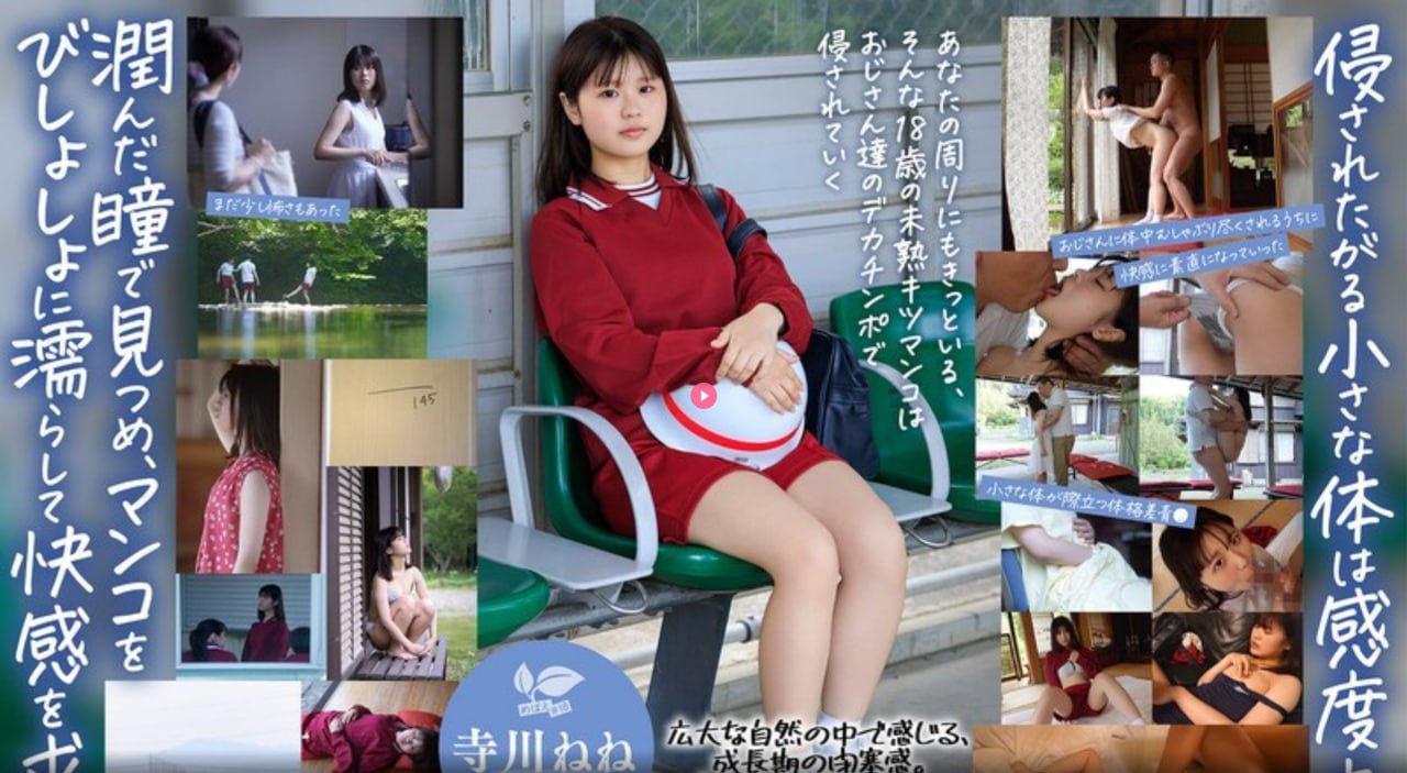 2008tv百度影音メイリン モデルコレクション メ黑人av四区高清在线观看